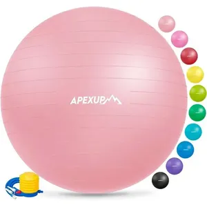 Bola de Exercício ApexUp 55cm Rosa A-BI