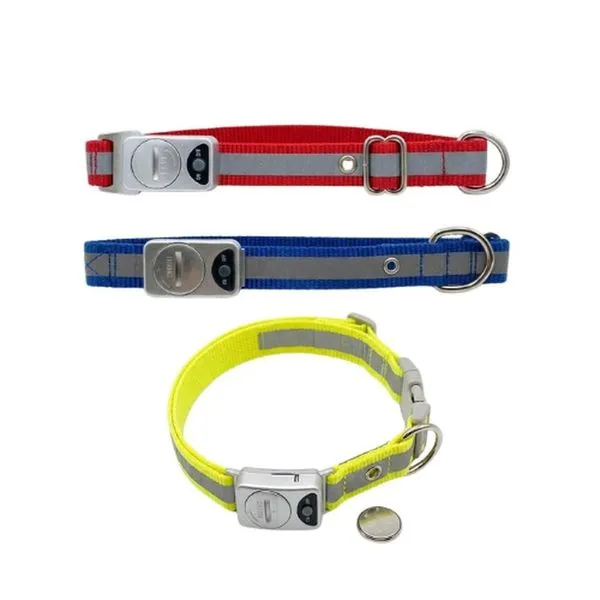 Coleira Para Cães TM Raças Médias Sortido 2mx120cm (MP)