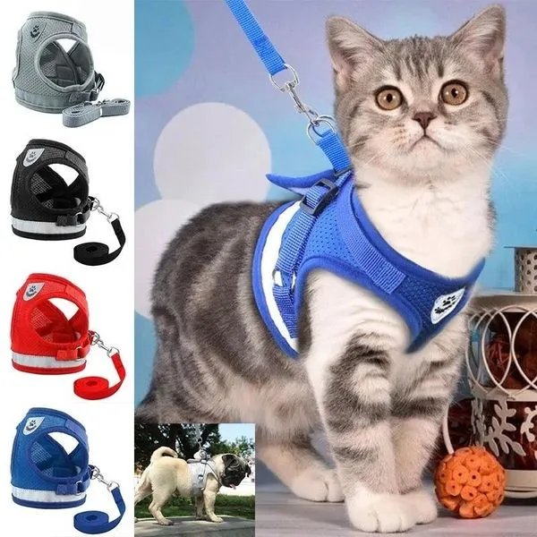Conjunto de Coleira e Guia Refletiva para Cães e Gatos XG / azul