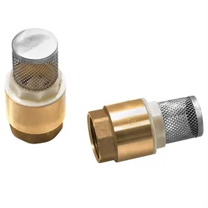 Válvula de Fundo de Poço com Tela Inox 2' - RMD/R170F - REMADI