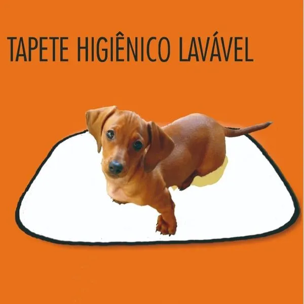 Tapete Higiênico G 70x90cm 7140 - Sleep Easy