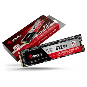 SSD Nvme M.2 2280 Turbo 512GB KDNV512G-J12 Leitura 2400 Mb-s e Gravação 1700 Mb-s Keepdata SSD Nvme M.2 2280 Turbo 512GB KDNV512G-J12 Alto Desempenho para Notebook e Desktop Keepdata