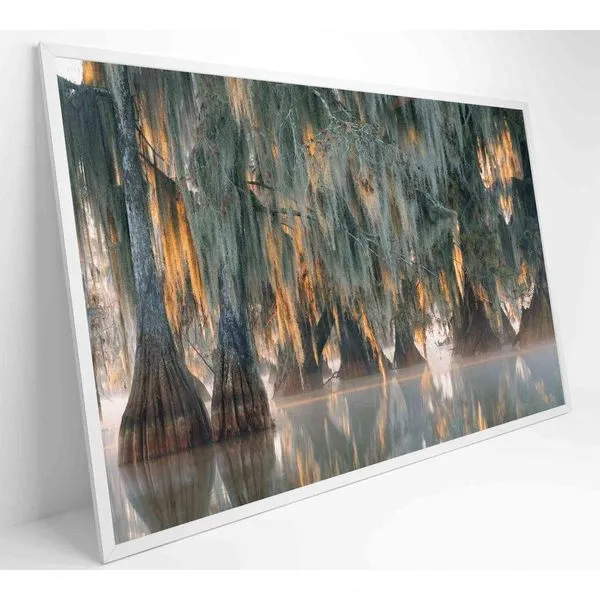 Quadro árvores De Ciprestes No Lago Martin Medidas 60x40 Cm Tipo De Impressão Vidro Acrílico