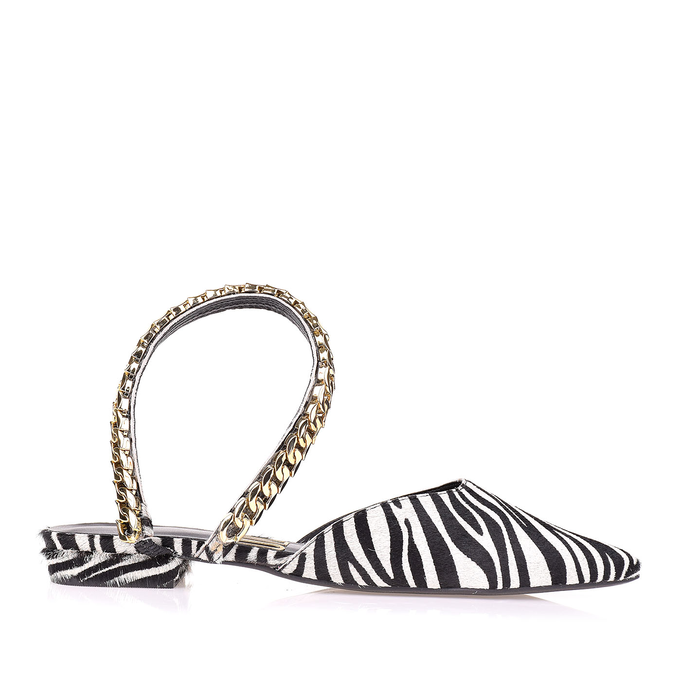 Flat Fur Zebra