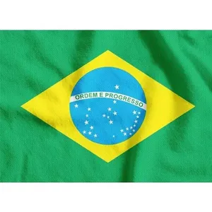 Bandeira do Brasil em TNT 1,40x1,03m para Decoração Patriótica e Copa do Mundo Verde Supper Bandeira do Brasil TNT 1,40x1,03m Decoração Patriótica Supper