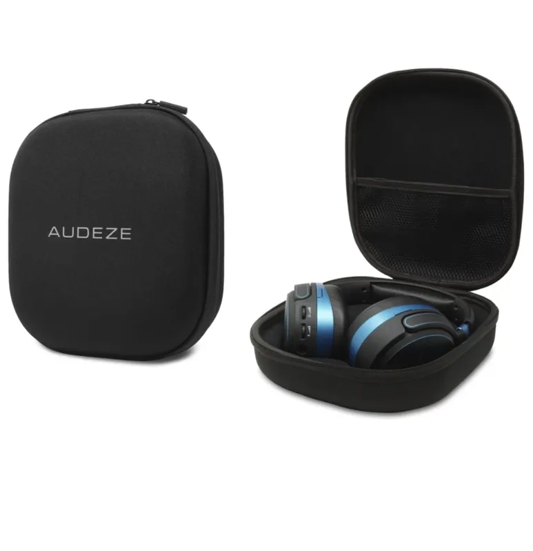 Mobius Carry Case