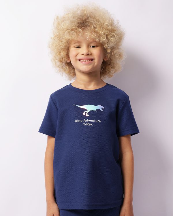 Camiseta Infantil Texturizada Estampa Dinossauro Manga Curta Azul 10
