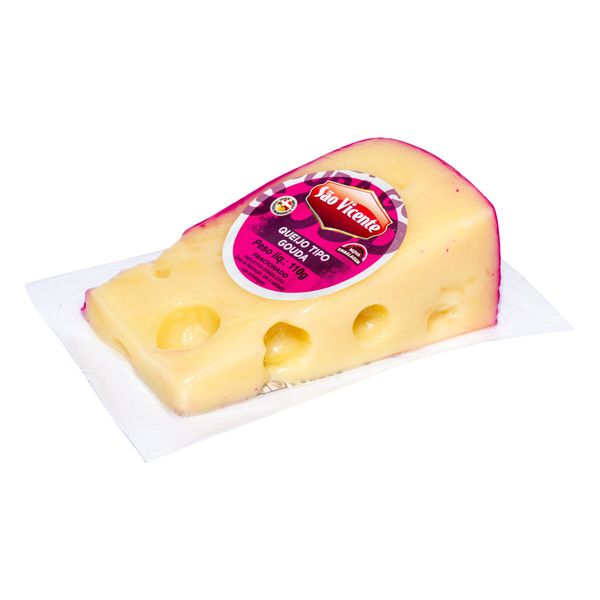 Queijo Gouda São Vicente 110g