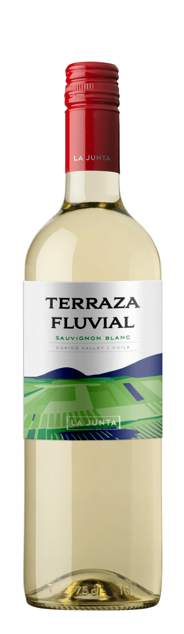Vinho Branco Chileno Terraza Fluvial Sauvignon Blanc