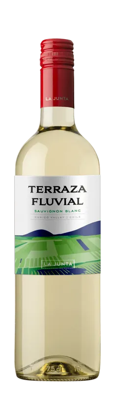 Vinho Branco Chileno Terraza Fluvial Sauvignon Blanc