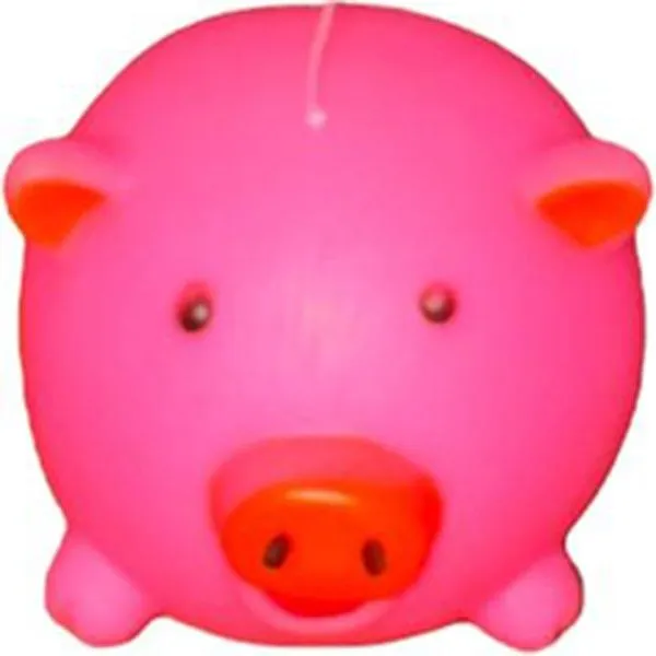 Brinquedo De Plástico Pratix Para Pet D892VD Sortido (MP)
