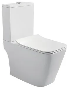 Vaso Sanitário Acqua Com Caixa Acoplada Aluv Ja0416 Assento SoftcloseAcionamento 3/6litros Com Acessórios Branco