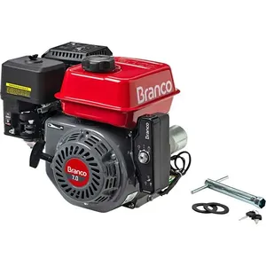 Motor a gasolina 7hp 4t com alerta de óleo partida elétrica B4T-7.0 BRANCO