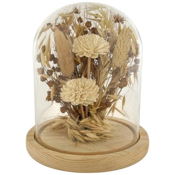 Caixa De Flores Concepts Life Bege 4205510007