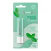 Protetor Labial Ever You Fresh Mint 3,6g