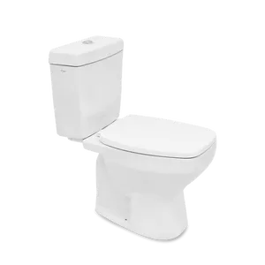 Vaso Sanitário com Caixa Acoplada Amarilis Branco Fiori