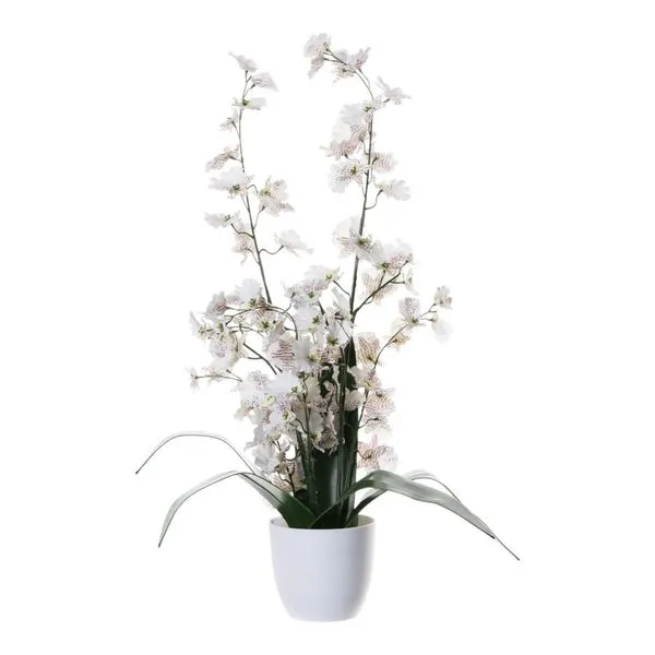 Orquídea Decorativa Concepts Life Branco 456-472244