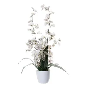 Orquídea Decorativa Concepts Life Branco 456-472244