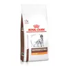Ração Royal Canin Gastrointestinal Low Fat Cães Adultos 10,1 kg