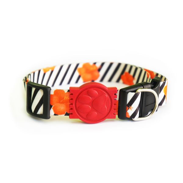Coleira para Cães Floral Alvorada G