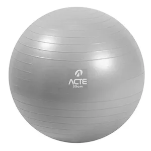 Bola de Ginástica 55Cm com Bomba de Ar Acte Sports