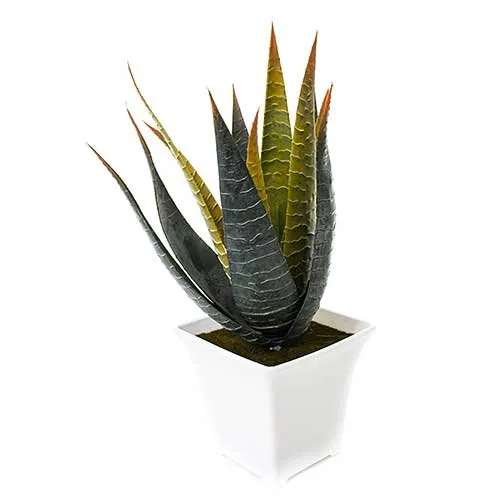 Planta Artificial Latcor, De Plástico, Branco E Verde - BX-43019/Y21-01
