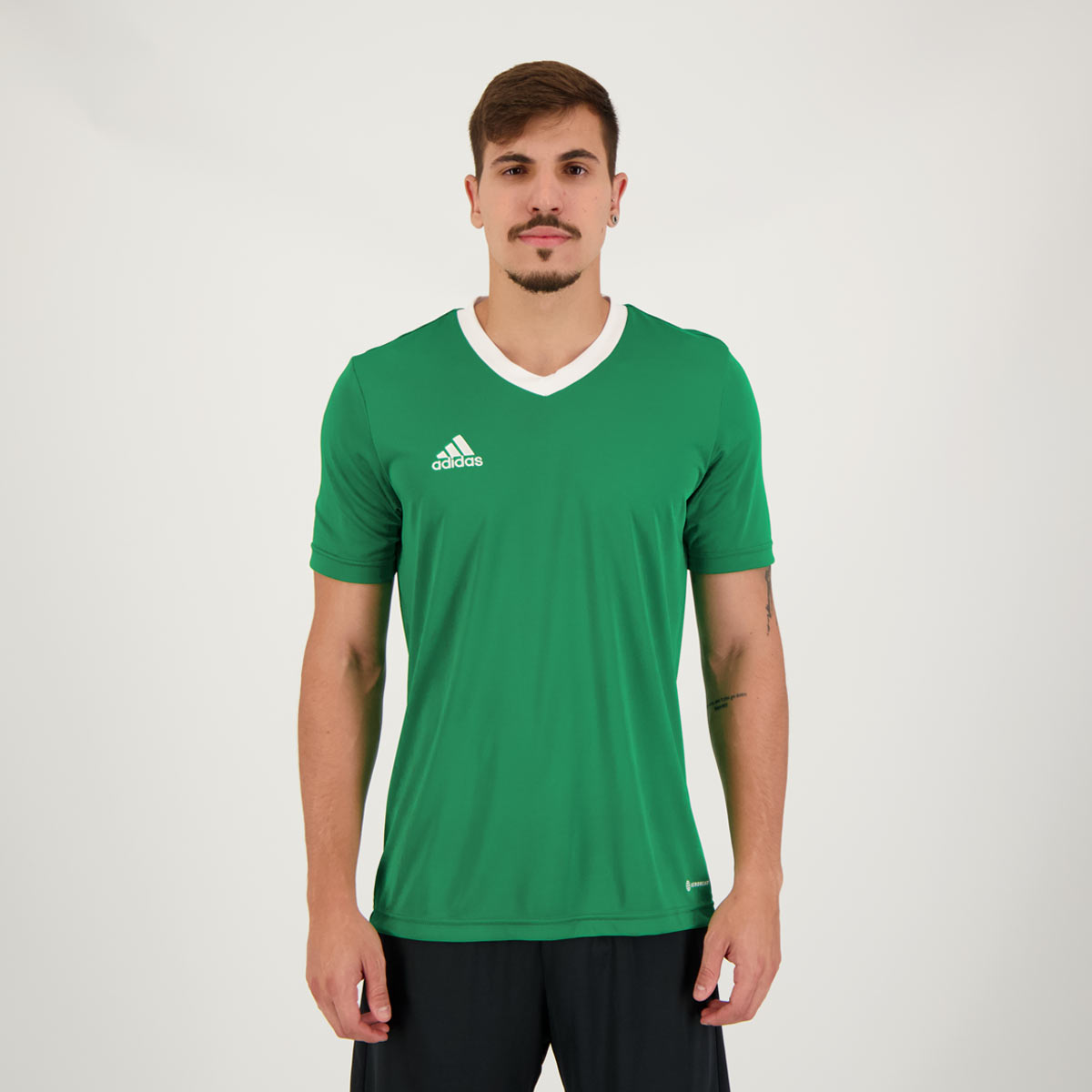 Camisa Adidas Entrada 22 Verde