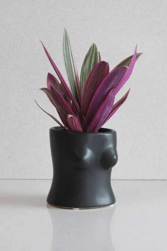Vaso Busto Preto