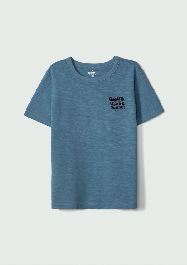 Camiseta Infantil Menino Estampada Flamê - Azul 008