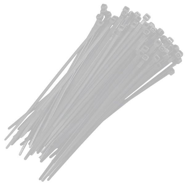 Abracadeira Ny Trans 2,5X100Mm 30Pc Bric