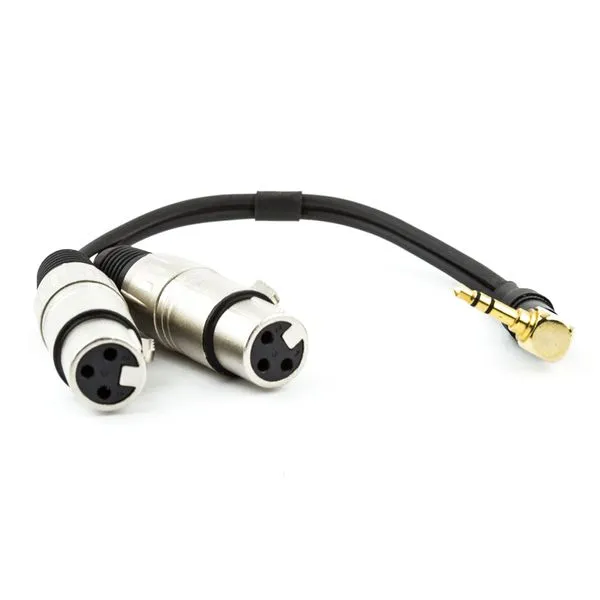 Cabo Adaptador P2 90° Graus Estéreo para 2 XLR Fêmea 2 metros