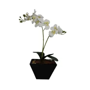 Vaso MDF Orquídea 1 Arranjo Flores Branca Sortido Tamanho G DF04 - Dila Flores