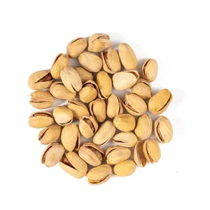 Pistache Torrado e Salgado Casa Santa Luzia - 200g