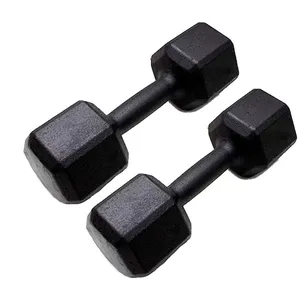 Halter Sextavado Iniciativa Fitness Pintado - 6Kg - Par