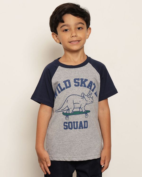 Camiseta Infantil Estampa Dinossauro Manga Raglan Cinza 8