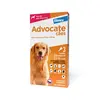 Antipulgas Advocate Cães 10 a 25kg 3 pipetas
