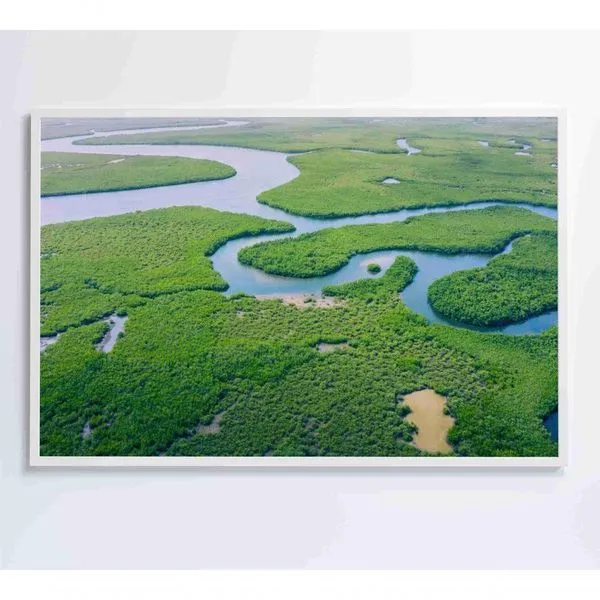 Quadro Rios E Floresta Amazônia 120x80 Cm Vidro Impresso