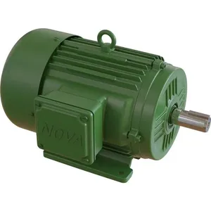 Motor Trisáfico 3CV 4Polos 220/380V Blindado P-56 com Carcaça 90L 60HZ - NOVA