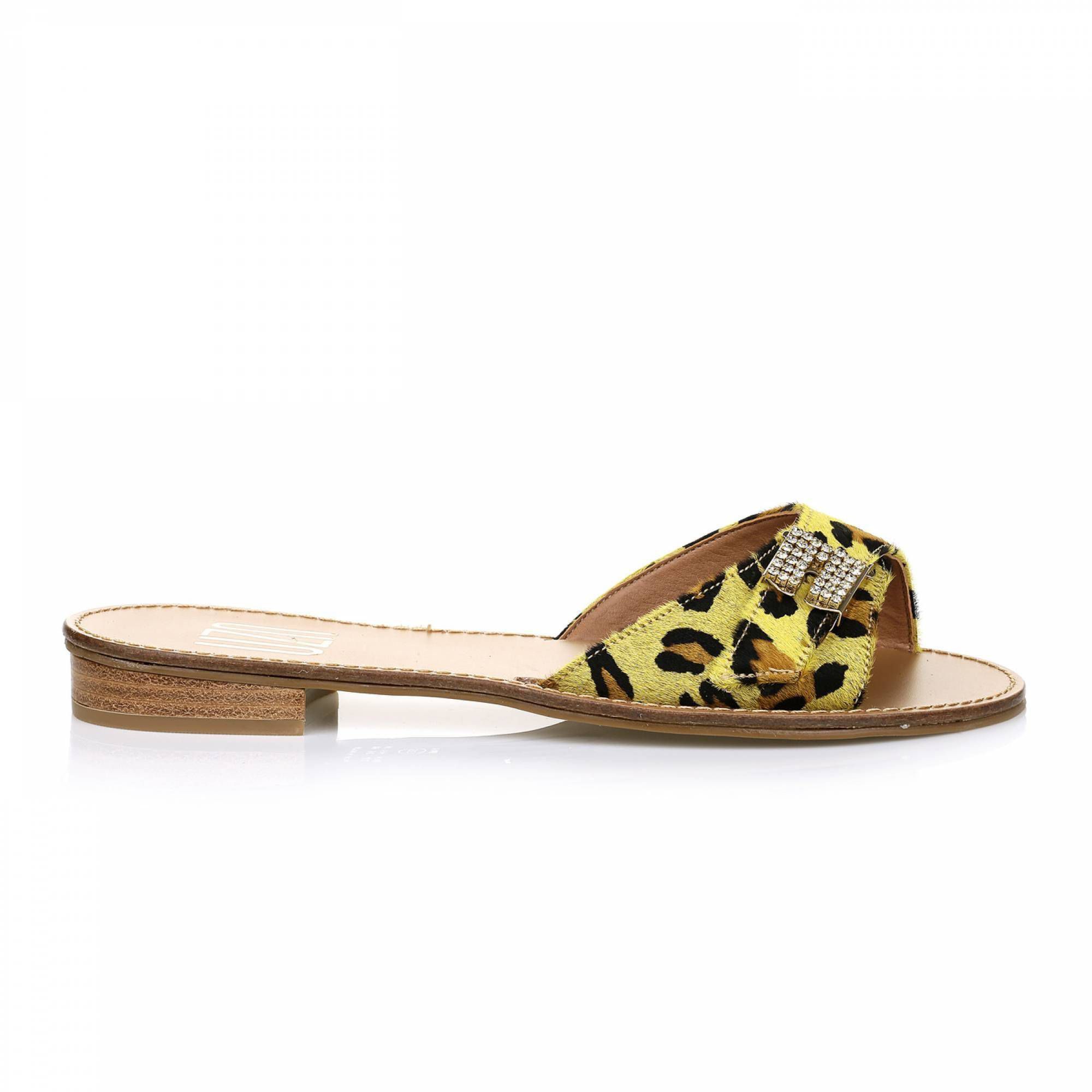 Flat Trend Summer