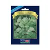Sementes de Coentro Português Blue Line Topseed Garden Único