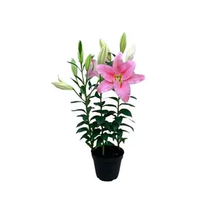 Planta Flor Lírio Decorado BENASSI Rosa 1 unidade