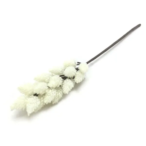 Flor Galho Phalaris Creme 62cm W53003CRCX360 - Winmax