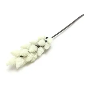 Flor Galho Phalaris Creme 62cm W53003CRCX360 - Winmax