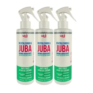 Kit Widi Care Revitalizando A Juba 3 Bruma Hidratante 300 ml