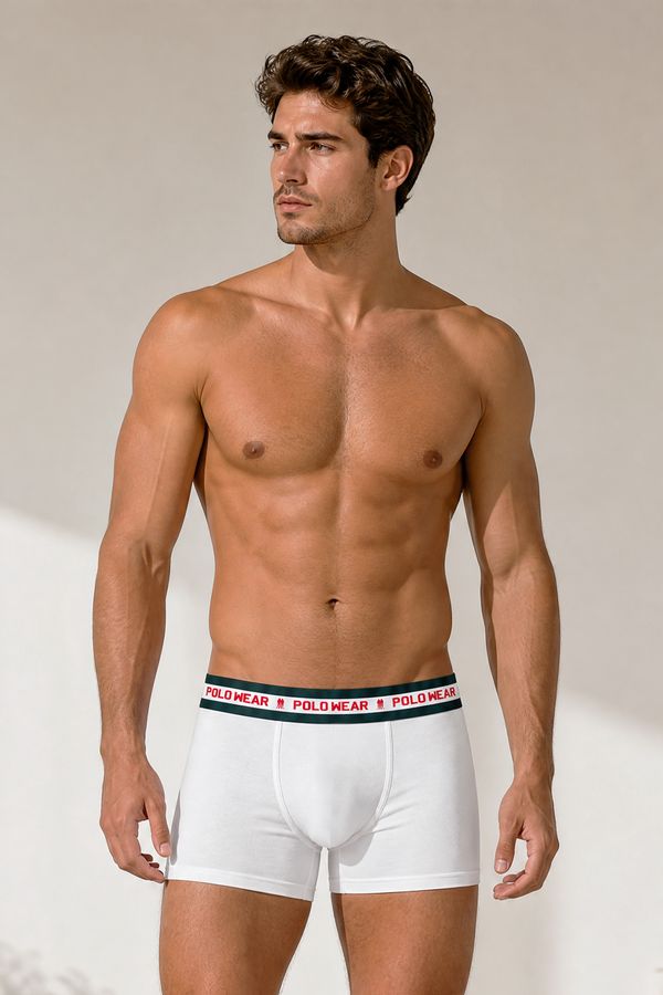 Kit 4 Cuecas Algodão Conforto Diário Polo Wear Sortido Kit 4 Cuecas Conforto Diário Polo Wear Sortido M