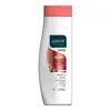 Shampoo Above Nutricao 325ml Shampoo Above Nutrição 325ml