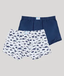 Kit de 2 Cuecas Infantis Delrio Boxer Dinossauros Multicor P