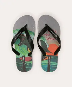 chinelo infantil dinossauro ipanema cinza 27-28