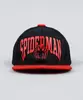 Boné Infantil Aba Reta Homem Aranha com Suede Preto M