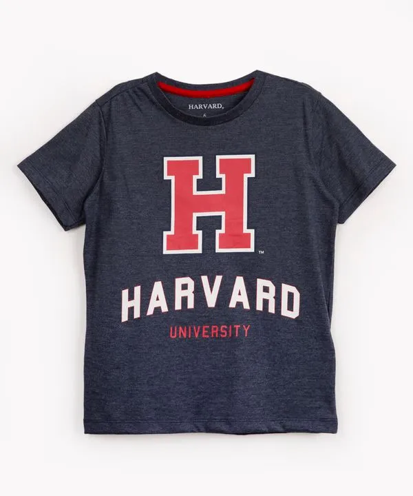 camiseta infantil havard manga curta azul marinho 12